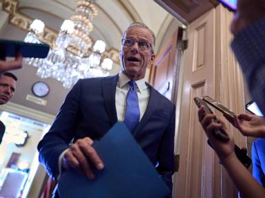 Trump’s tariffs could pay for his tax cuts –