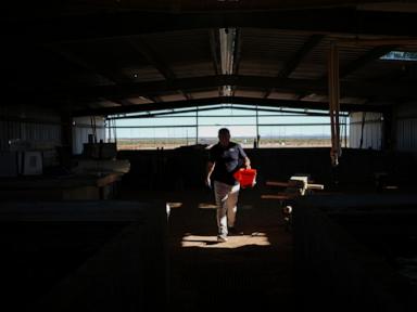 In the Arizona desert, a farm raising fish raises questions about water use