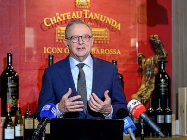Albanese will meet with Xi next week on a trip focused on Australia-China business ties