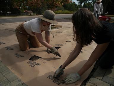 Move over, green lawns. Drier, warmer climate boosts interest in low-water landscaping