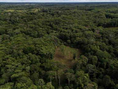Colombia will use drones to destroy coca crops