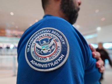 Airline CEOs demand Congress restore DHS funding and pay airport workers