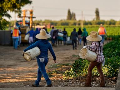 Women farmworkers who built their own fight against sexual assault cope with Chavez allegations