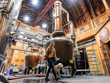 Women take the lead in whiskey as female drinkers, distillers change the industry