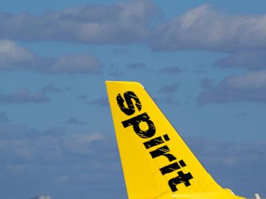 Spirit Airlines says financial aid from the US government would help it keep flying