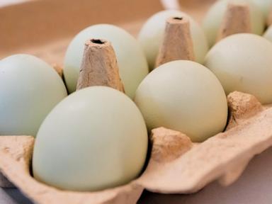 Eggs for Easter cost much less in the US than last year. A look at the numbers